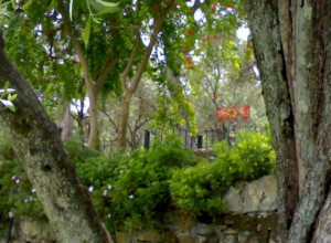 image2 Oasi Del Tigullio