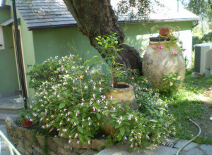 image12 Oasi Del Tigullio