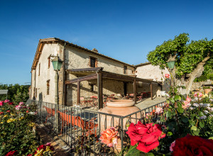 image16 Ripostena