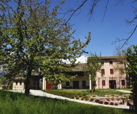 Agriturismo Ca' Roer  - San Zenone Degli Ezzelini