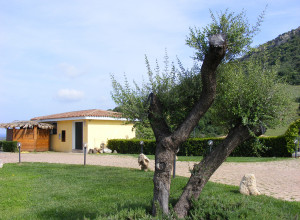 image16 Su Vrau