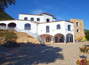 image29 Su Vrau