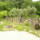 preview image7 esterno