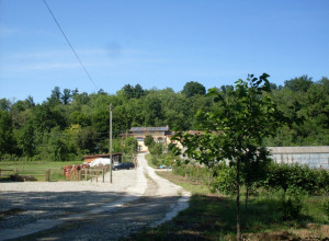 image17 La Bedina