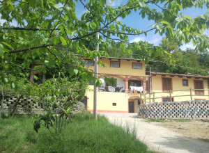 image12 La Bedina