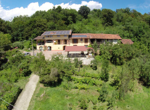 image14 La Bedina