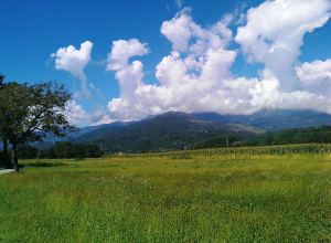 image1 La Bedina