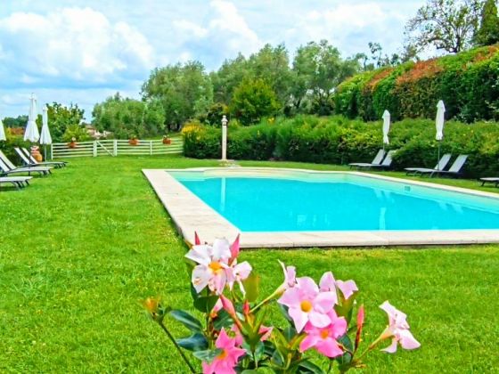 taverna di bibbiano foto esterno 29