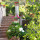 preview image9 esterno