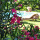 preview image19 esterno