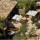 preview image15 esterno