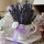 preview image13 particolare
