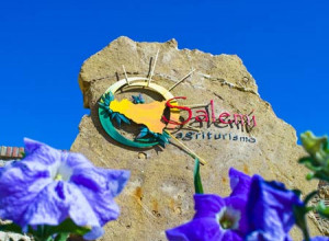 image1 Salemi