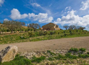 image5 Salemi