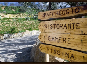 image6 Salemi