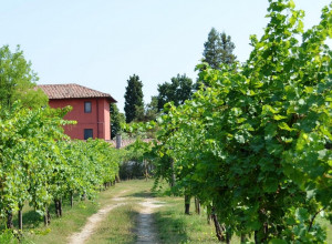 image1 Isola Augusta
