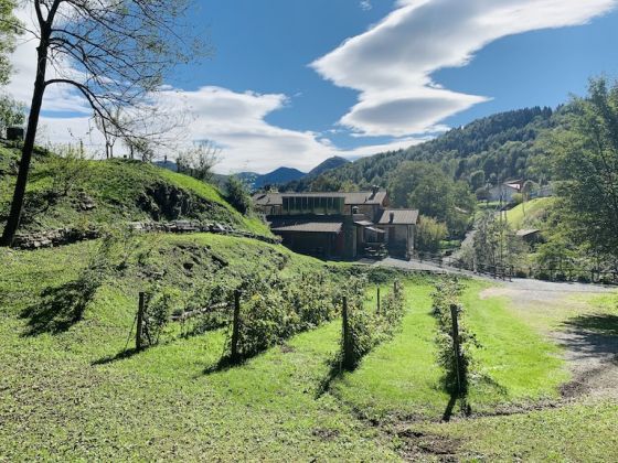 il talento nella quiete foto esterno 9