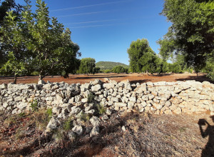 image2 Masseria Chiancarella
