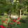 preview image21 giardino