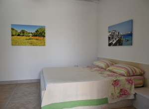 image7 Gli Oleandri