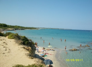 image18 Gli Oleandri