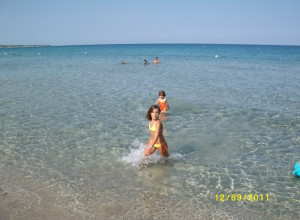 image12 Gli Oleandri