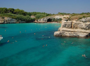image14 Gli Oleandri
