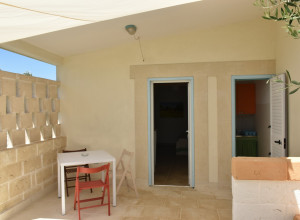image15 Gli Oleandri