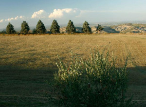 image1 Monte Valbelle