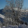 preview image4 esterno