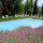 preview image9 piscina