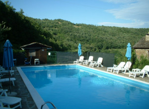 image1 Vadonnino