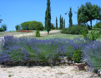 podere costa romana