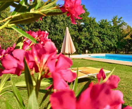 Land Ferienhaus I Nidi Di Cortona - Cortona