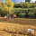 preview image8 attività