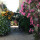 preview image6 esterno