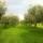 preview image5 giardino