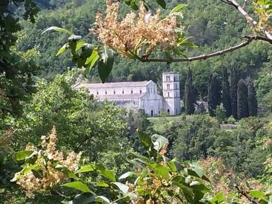 Le Pietre Ricce - foto 36