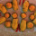 preview image1 pietanze