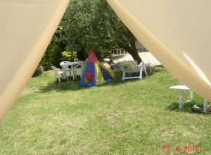 image17 Primavera