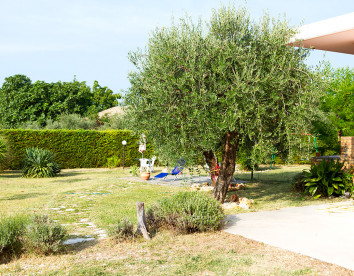 primavera
