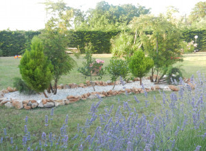 image20 Primavera