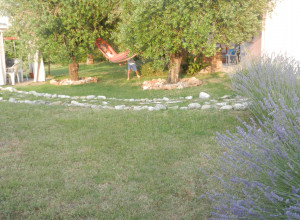 image16 Primavera