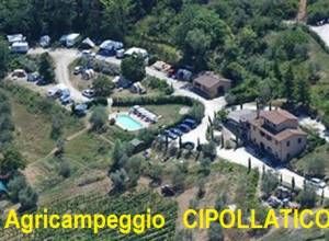image3 Cipollatico
