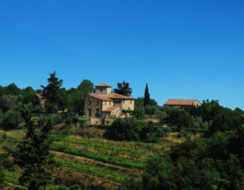 le querciole