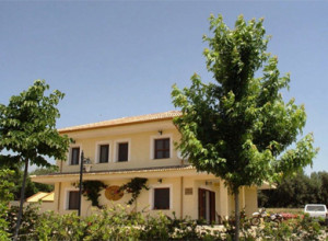 image6 Colle Degli Ulivi