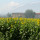 preview image10 altro