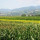 preview image7 esterno