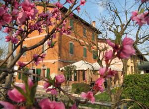 image13 Praetto
