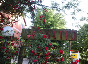 image6 Praetto
